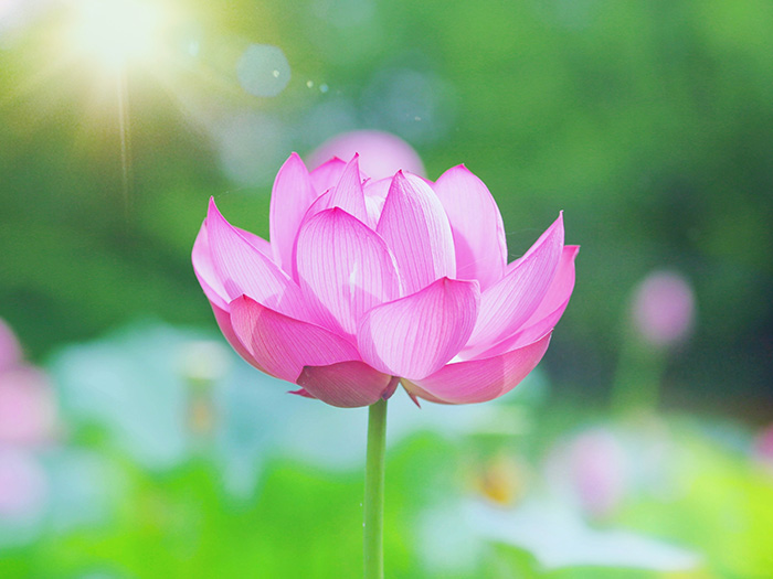 ご利用にあたって