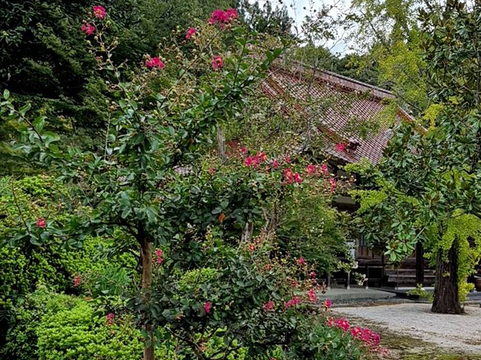 日​蓮本​宗 多宝寺
