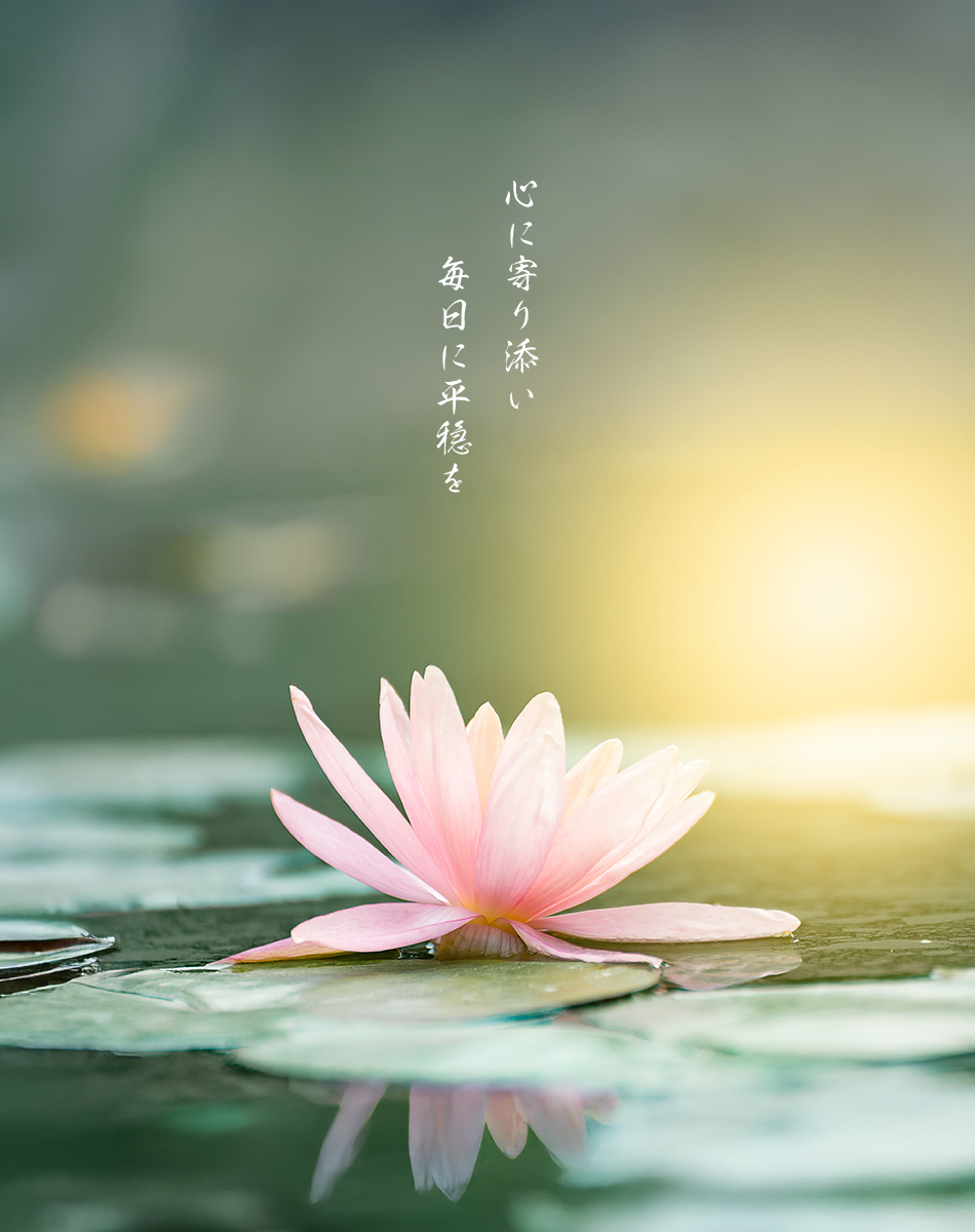 心に寄り添い、毎日に平穏を